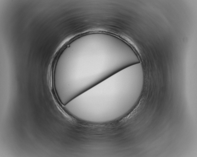 X0000110321127200905211200