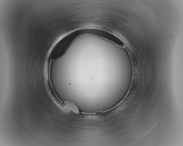 X0000110321128200905211200