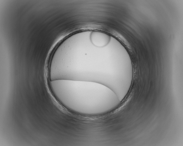 X0000110321130200905211200