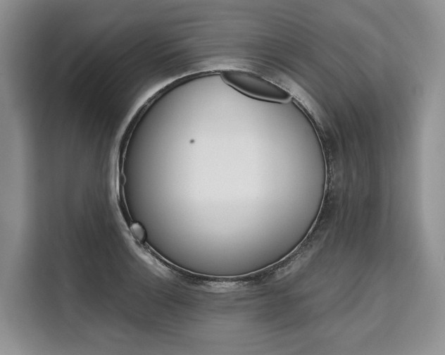 X0000110321132200905211200