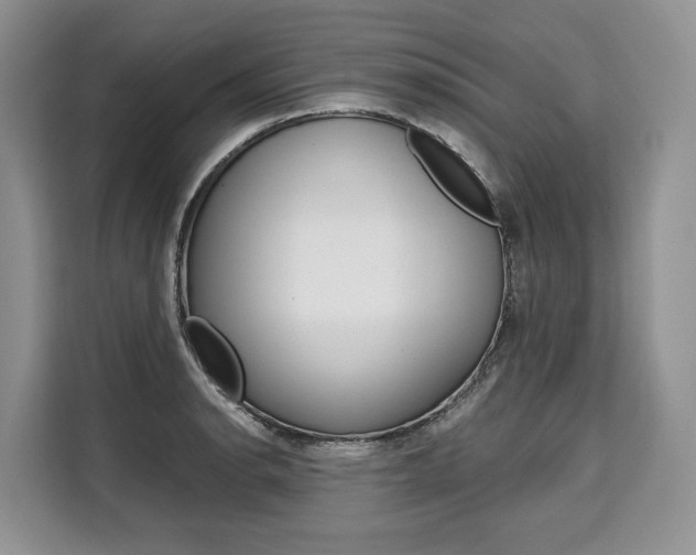 X0000110321134200905211200