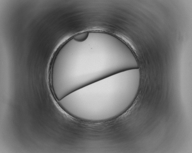 X0000110321135200905211200