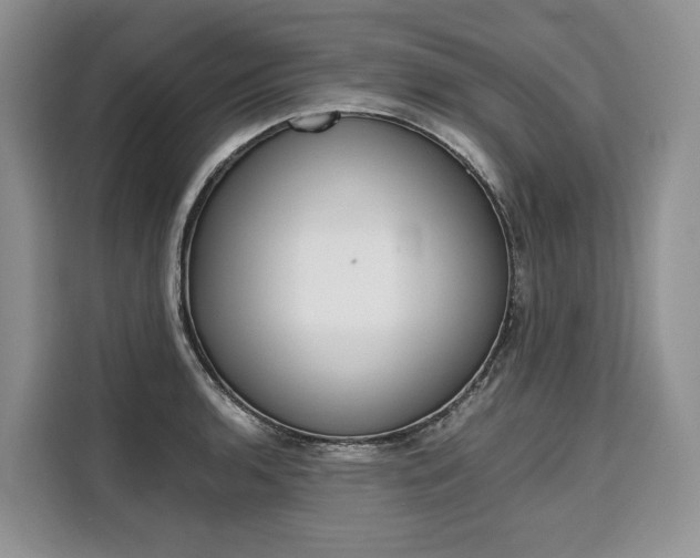 X0000110321136200905211200
