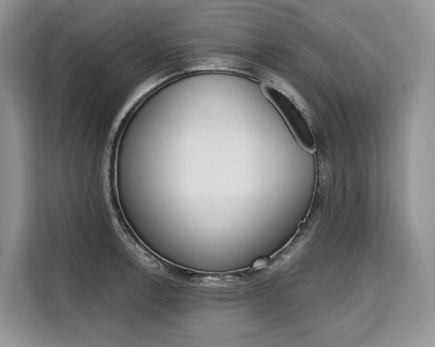 X0000110321138200905211200