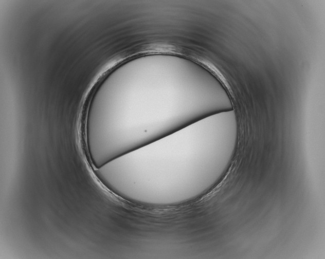 X0000110321139200905211200
