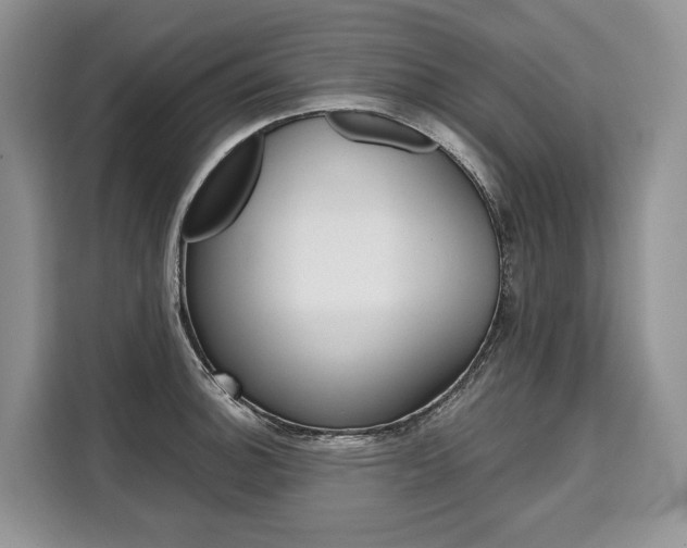 X0000110321140200905211200