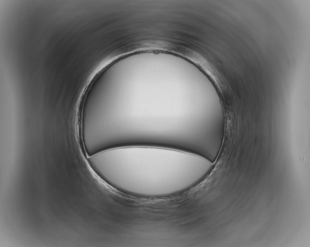 X0000110321143200905211200