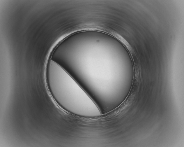 X0000110321144200905211200