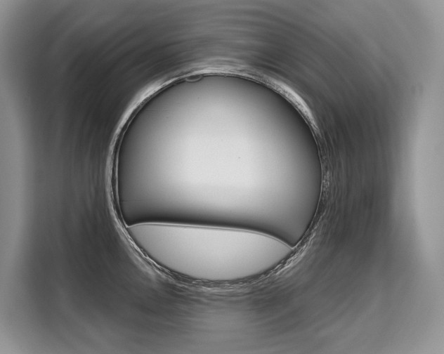 X0000110321146200905211200