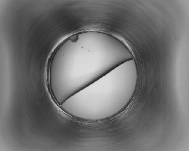 X0000110321147200905211200