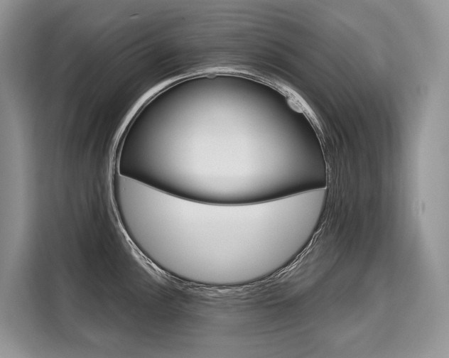 X0000110321148200905211200