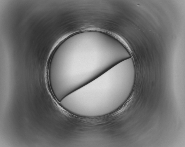 X0000110321149200905211200