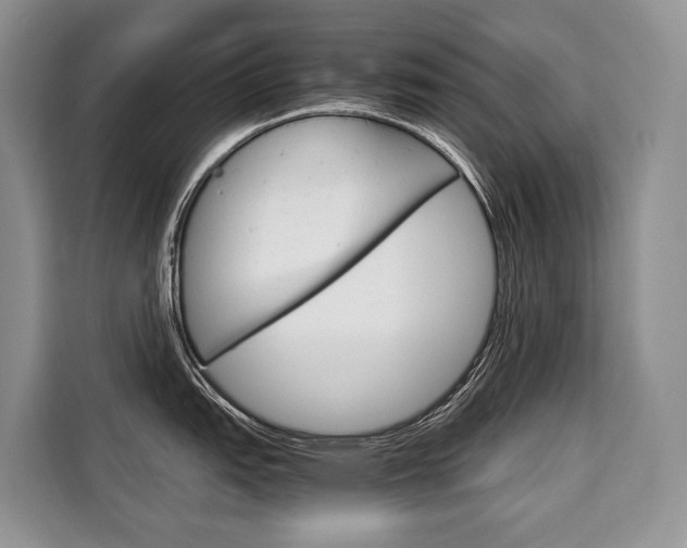 X0000110321151200905211200