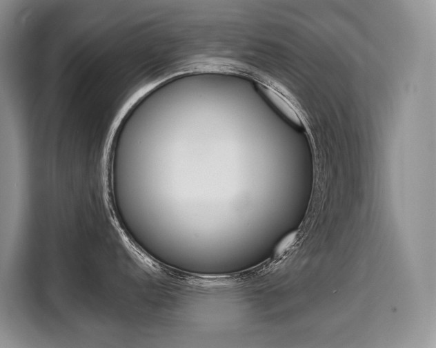 X0000110321152200905211200