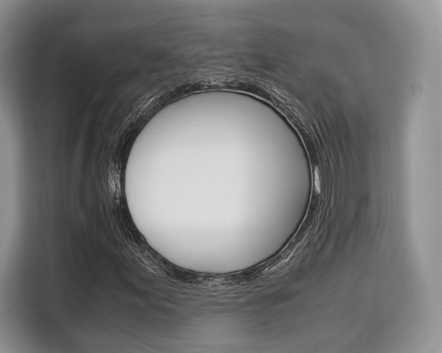 X0000110321155200905211200