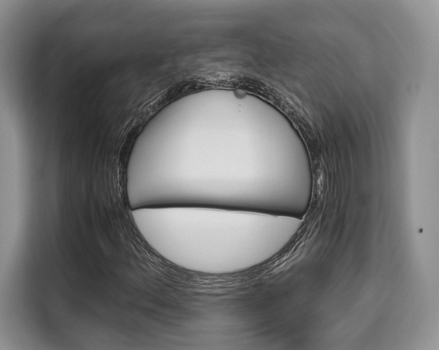X0000110321156200905211159