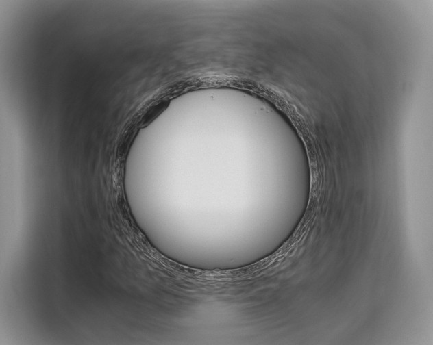 X0000110321157200905211159
