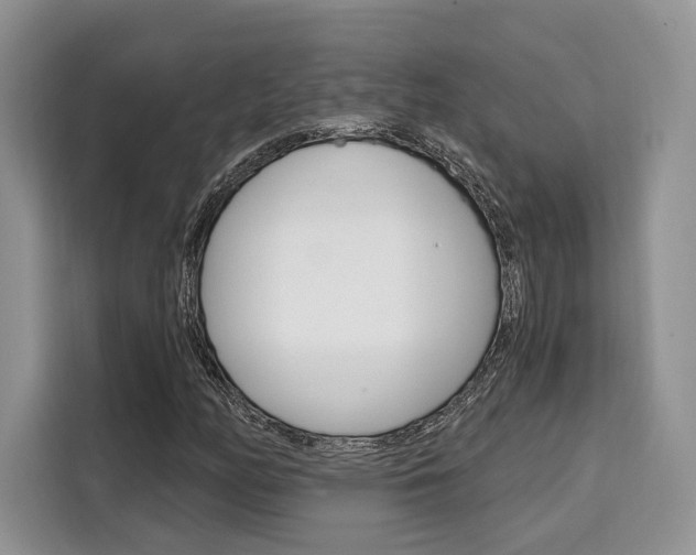 X0000110321158200905211159