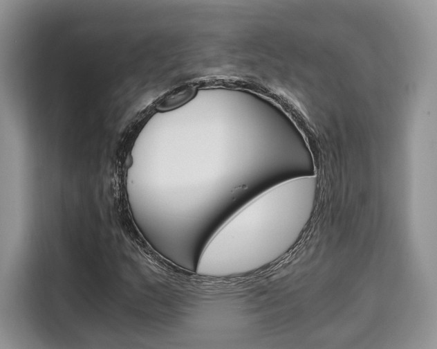 X0000110321159200905211159
