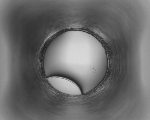 X0000110321160200905211159