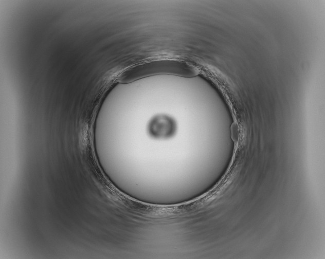 X0000110321161200905211159