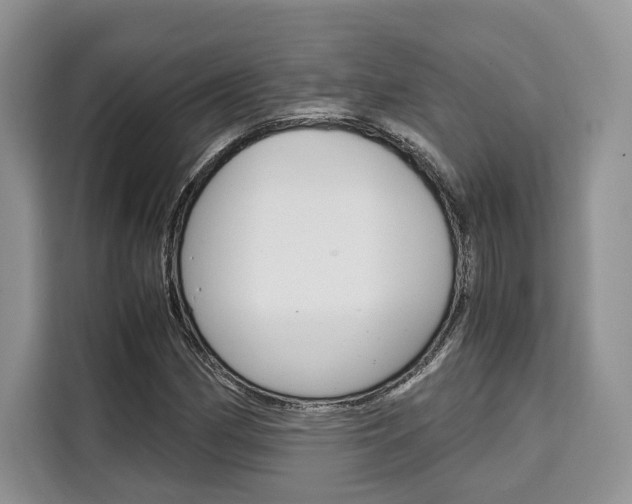 X0000110321162200905211159