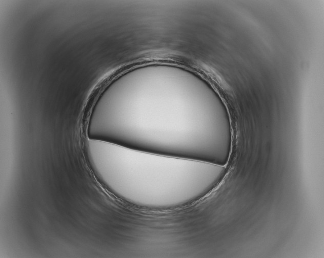 X0000110321164200905211159