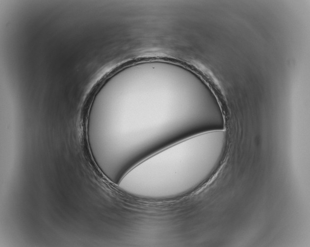 X0000110321167200905211159