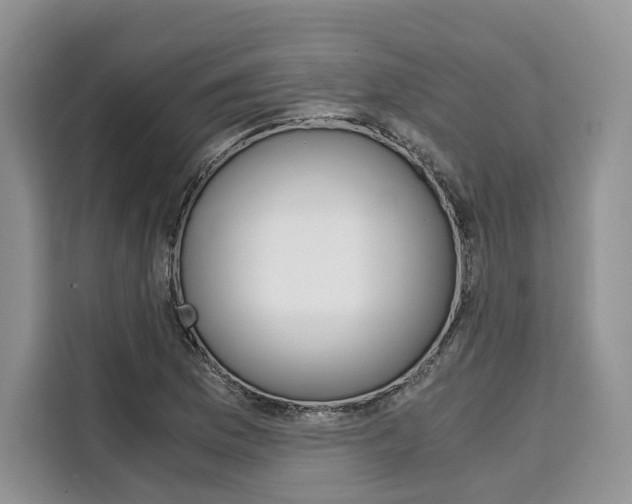X0000110321169200905211159