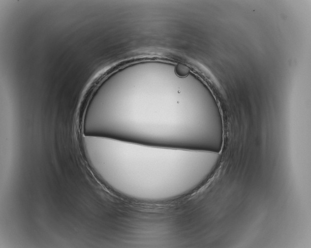 X0000110321172200905211159