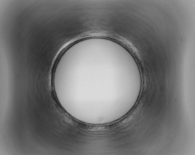 X0000110321174200905211159