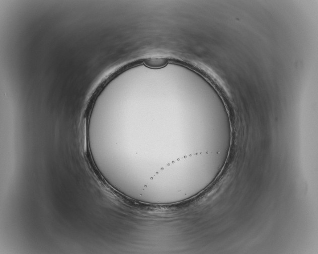 X0000110321175200905211159
