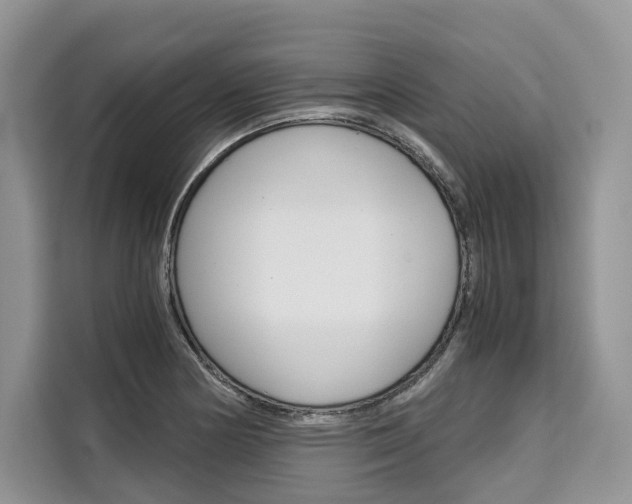 X0000110321178200905211159