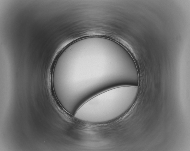 X0000110321179200905211159