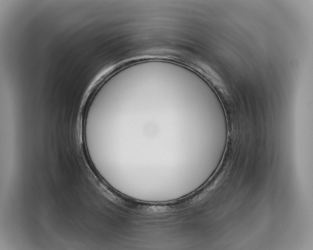 X0000110321180200905211159