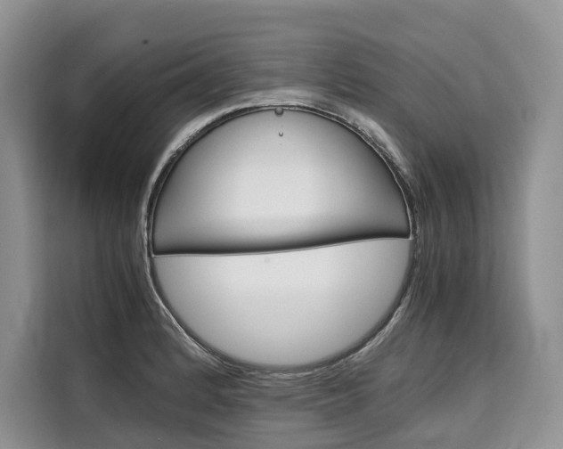 X0000110321184200905211159