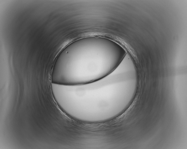 X0000110321185200905211159