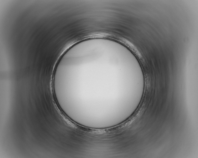 X0000110321186200905211159