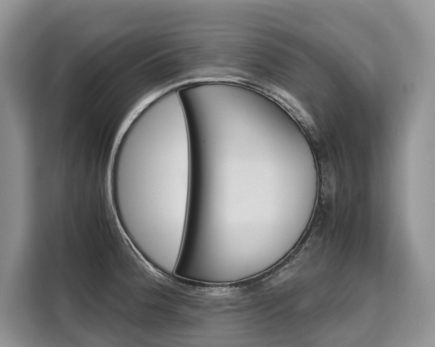 X0000110321188200905211159