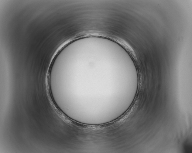 X0000110321190200905211159