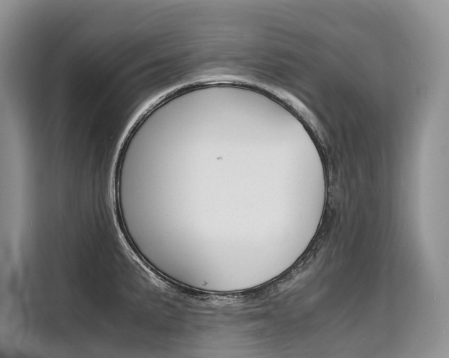 X0000110321191200905211159