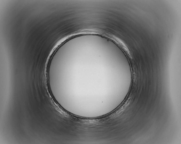 X0000110321192200905211159