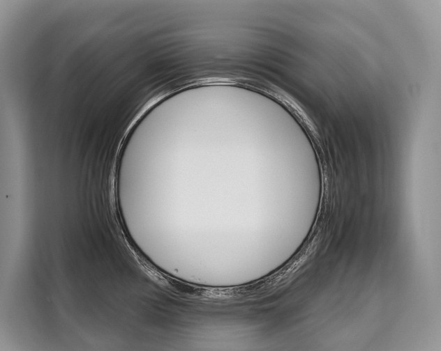 X0000110321194200905211159