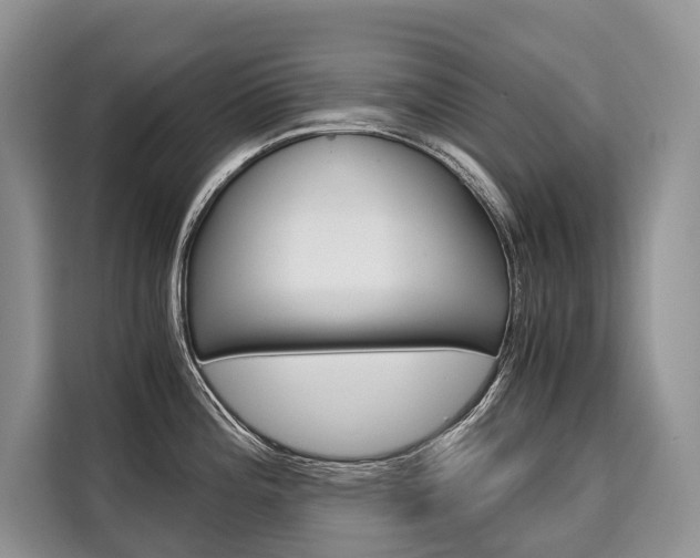 X0000110321196200905211159