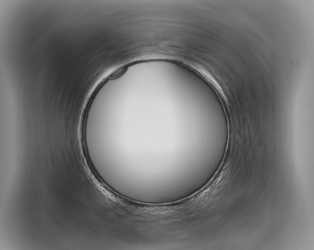 X0000110321197200905211159