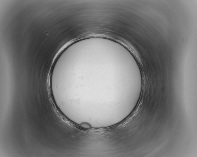 X0000110321198200905211159