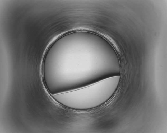 X0000110321199200905211159