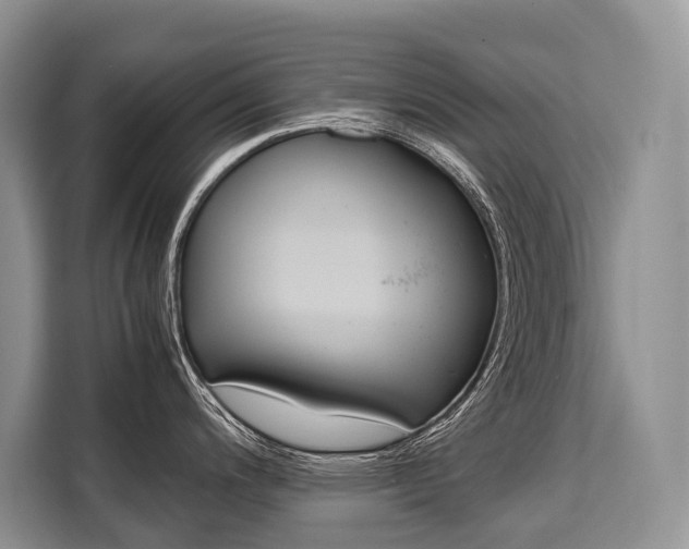 X0000110321200200905211159