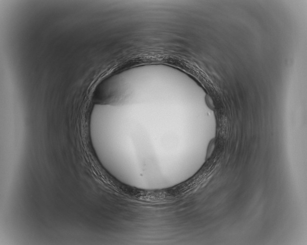 X0000110321201200905211158
