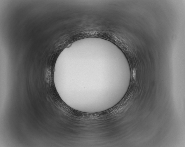 X0000110321203200905211158